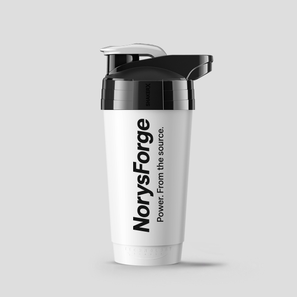 NorysForge